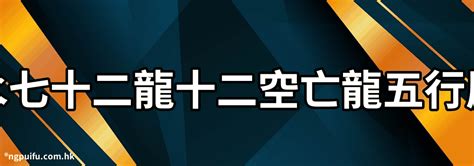 屬龍五行|生肖龍五行屬什麼？